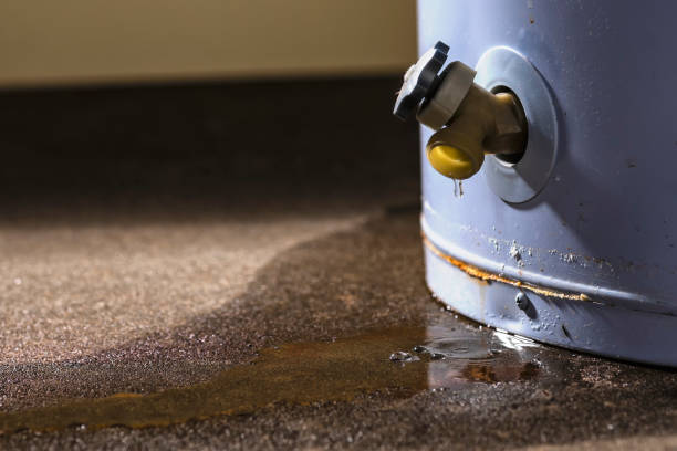Water damage restoration insurance claims in SC