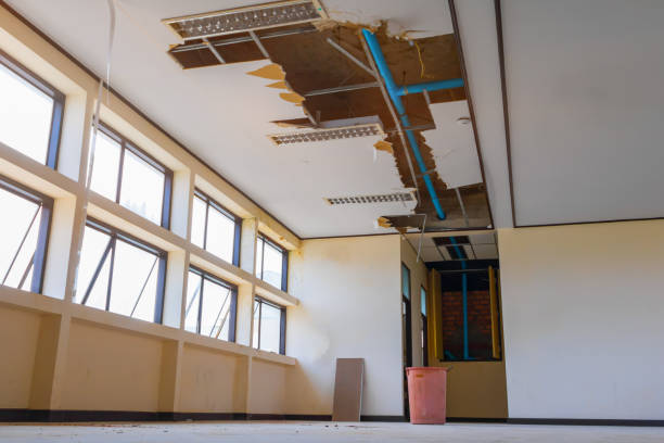 Best Professional water damage repair  in Mccoll, SC