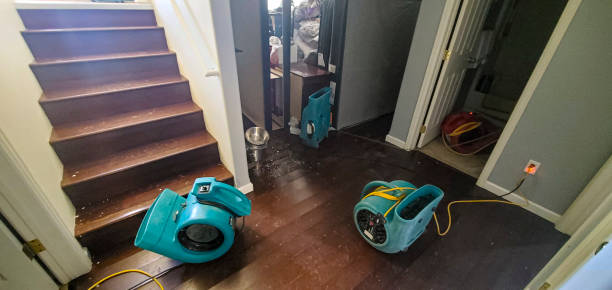 Best 24-hour water damage restoration  in Mccoll, SC