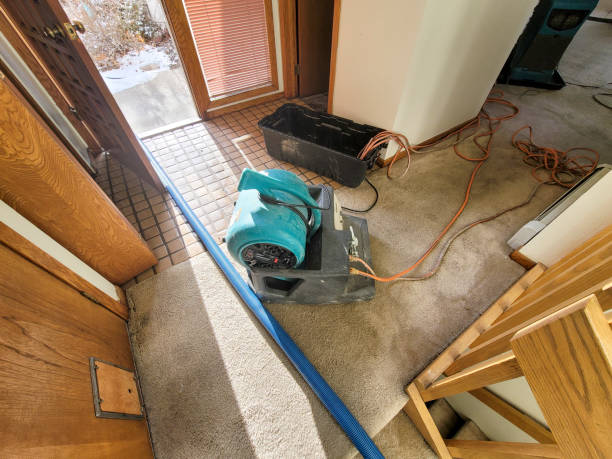 Best Sewage cleanup and water damage restoration  in Mccoll, SC