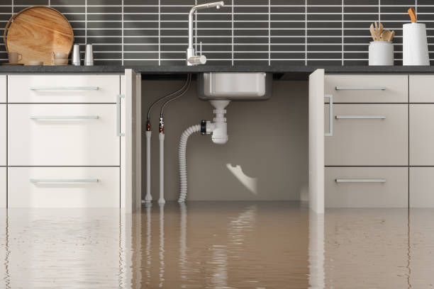 Best Water damage contractors near me  in Mccoll, SC