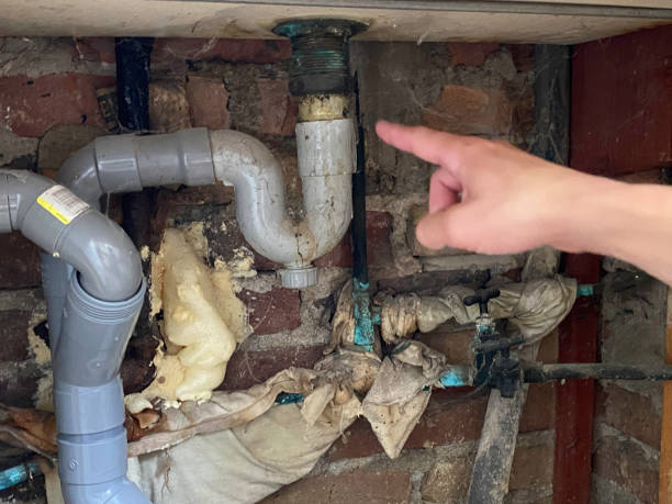 Best Fire Damage Restoration  in Mccoll, SC