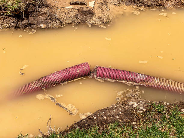 Best Flood restoration services  in Mccoll, SC