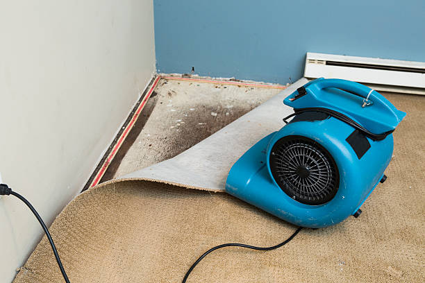 Best Residential water damage restoration  in Mccoll, SC